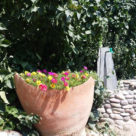 Areni Tavern-B&B Dış mekan fotoğraf