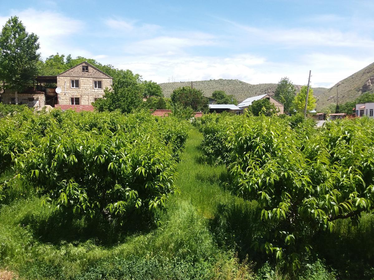 Areni Tavern-B&B Dış mekan fotoğraf