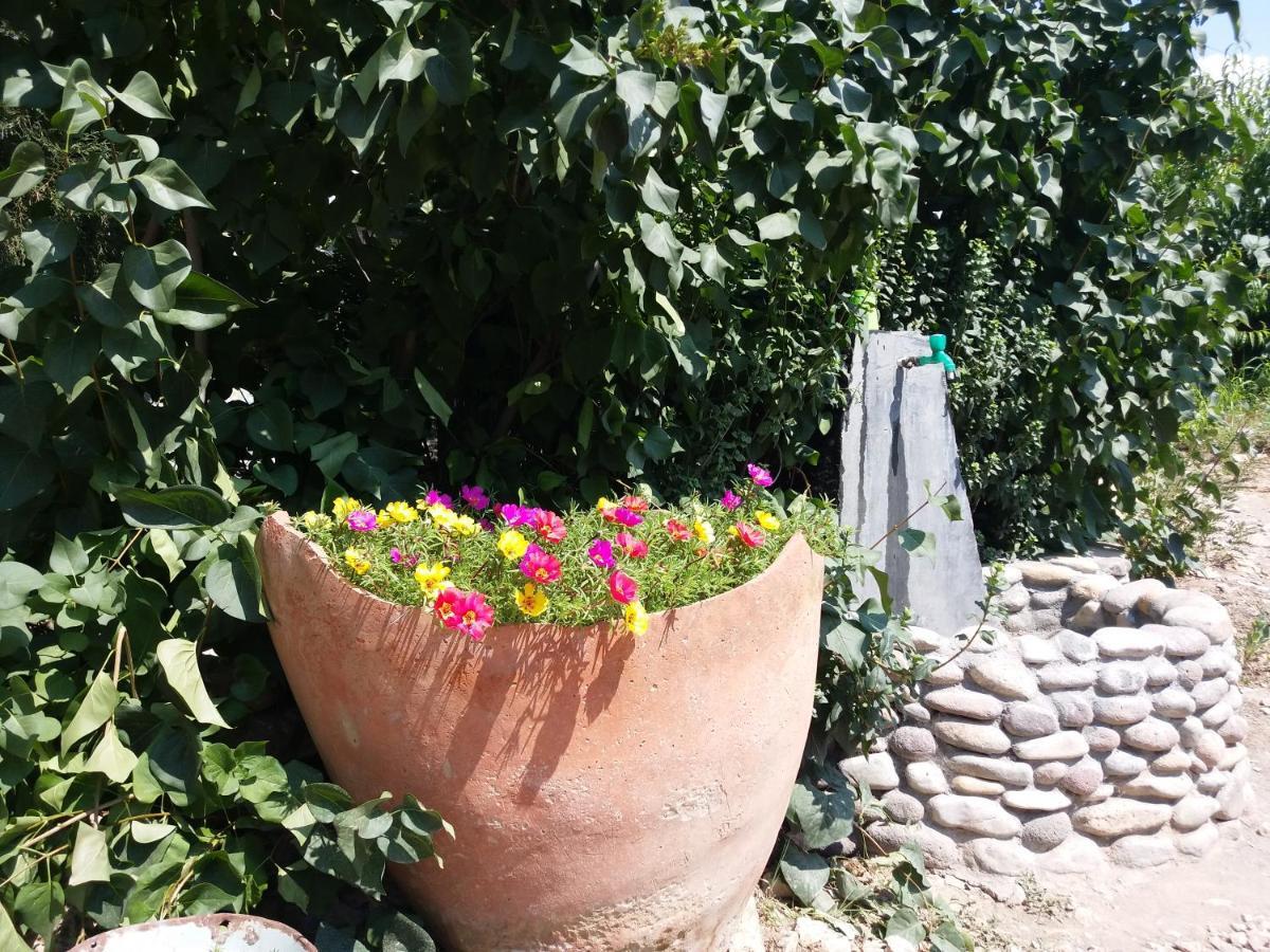 Areni Tavern-B&B Dış mekan fotoğraf